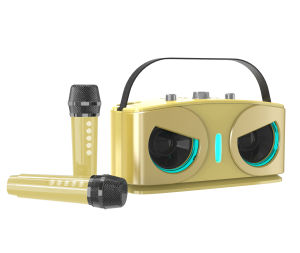 Panasonic Bluetooth Speaker With Dual Mic Wireless Bluetooth Microphone Karaoke Speaker 9D Stereo Bass Amplifier Party RGB LED Light Portable Home KTV Sound Speaker