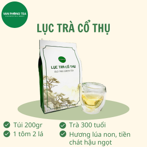 Lục trà Shan Tuyết Cổ Thụ (Gói 200g) - VÂN PHONG TEA