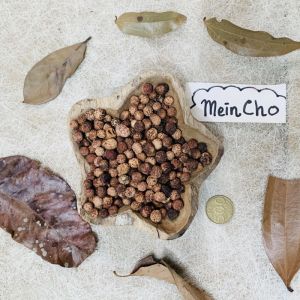 (1kg/2500biji) Kolase Biji Genitri Ginitri Jenitri Jinitri Kecipir Botor Bidara Dekorasi Rustik