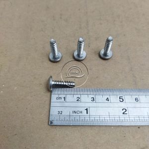 10 PCS BAUT CACING BODY 5 X 16 YAMAHA SKRUP SEKRUP 5X16 STAINLESS STELL SS ANTI KARAT SUS 304 CHROME CROME BAUD BODI MOTOR MATIC COVER MIO JUPITER OBENG PLUS