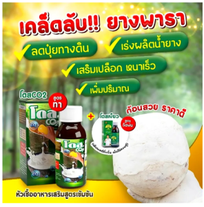 DOSE โดส Co2 หัวเชื้อสูตรเข้มข้นสำหรับทาหน้ายาง เปิดตัวนวัตกรรมใหม่ โดส Co2 ซีโอทู สารเสริมพืชยางพารา สำหรับทาหน้ายางโดยเฉพาะ ไม่ใช่ยาเร่ง ยาป้าย สกัดจากสมุนไพรล้วน 100%