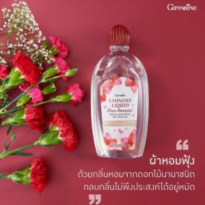 ผลิตภัณฑ์ทำความสะอาดชุดชั้นในและแพรพรรณ สูตรขจัดคราบหนัก ซักสะอาด หอมฟุ้ง ด้วยสารทำความสะอาดจากธรรมชาติ น้ำยาซักชุดชั้นในสูตรเข้มข้น Giffarine Station