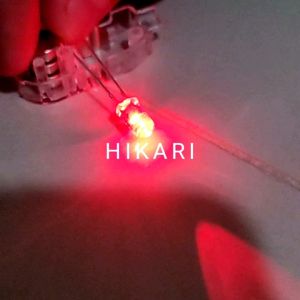 [PAKET 100 PCS] Lampu LED 5mm 2 WARNA MERAH HIJAU KEDIP Grosir / LED Kedip 2 Warna MERAH HIJAU 100PCS