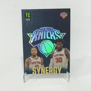 NBA Basketball Card | Panini NBA Top Class 2023-24 Synergy