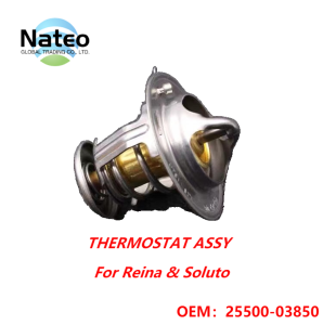 Thermostat For Reina & Soluto