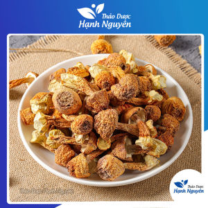 Nấm Tùng Nhung 500g (Nấm quý nấm thái dương nấu canh dưỡng sinh phục hồi sức khỏe) - Thảo Dược Hạnh Nguyên