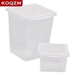 [COD] KOQZM KITCHEN Plastic Insect Spider Habitat Feeding Box Case Container Tank Transport Case Toy