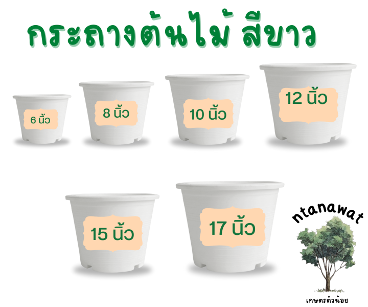 10 อันดับ กระถางต้นไม้พลาสติกสีขาว ยี่ห้อไหนดี? อัปเดตปี 2025