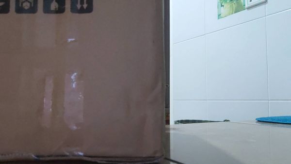 Buyer review video 6