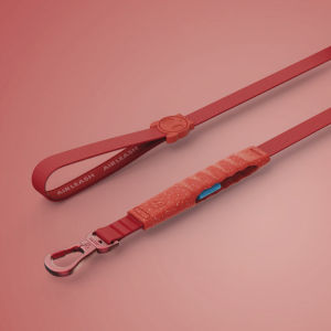 Zeedog Air Dog Leash Crimson