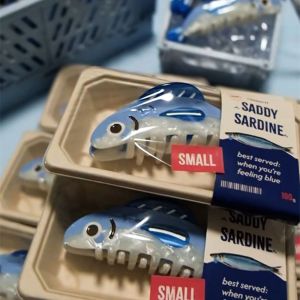 SI958 ปิ่นปักผม คลิปผมปลาซาร์ดีนจากมหาสมุทร รูปทรงเรขาคณิต อะคริลิค คลิปจับพลาสติก แฟชั่นสำหรับผู้หญิง หมวกสไตล์เกาหลี ที่หนีบผมขนาดใหญ่ สาวๆ