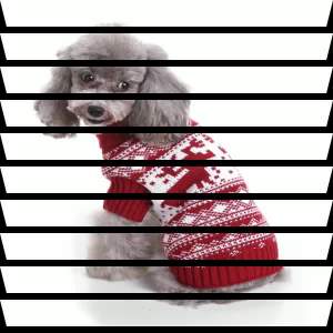 Pet Supplies Dog Clothes Autumn and Winter Warm Sweater Striped Snowflake Style Winter Cat Christmas Dog Clothes [ Free Shipping ]