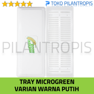 Tray Semai Microgreen Hidroponik Wadah Media Tanam Wheatgrass Catgrass Rumput Gandum Kucing Murah