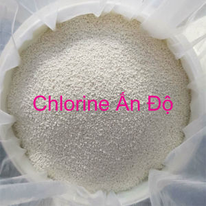 Bột tẩy rong rêu dùng hồ bơi hay sàn