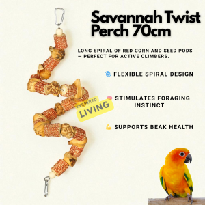 Open-Sided Wooden Parrot Hut | Large & Small Sizes | Ideal for Budgies Lovebirds Cockatiels Conures | Natural Bird Cage Accessory