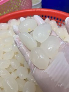 Hạt Đác Tươi 1kg Hột Đác Tươi Size Chuẩn Hạt Lớn Dẻo Chuẩn Hạt Rim