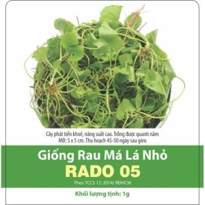 Hạt giống Rau má lá nhỏ cao sản dễ trồng siêu lá