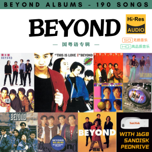 [190首] USB Pendrive Music 音乐USB BEYOND 国粤语专辑 mp3 超高音质 16gb 流畅播放 Beyond Songs 车载音乐
