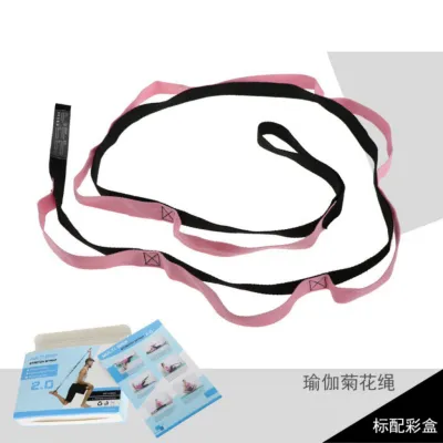 Non-Elastic Yoga Stretching Strap with 10 Loops and Workout Guide - Ideal for Physical Therapy Pilates and Exercise