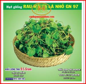 Hạt giống củ quả đồng giá tỉ lệ nảy mầm cao|Minh Hân Garden