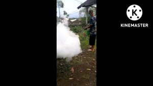 cairan foging pengasapan serangga dan Nyamuk Waterbased  isi satu liter