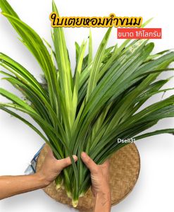 ใบเตยทำขนม  ขนาด1กิโลกรัม เตยหอม ต้มน้ำใบเตย ใบเตยสด ทั้งต้น เตยในสวน เตยหอมฉะเชิงเทรา