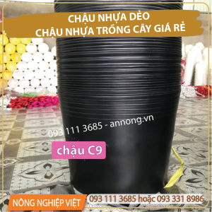 100 Chậu Nhựa C9 Đen - Chậu nhựa trồng vạn thọ 1 gốc 2 gốc - Chậu mũ nhựa đen Chậu nhựa C8