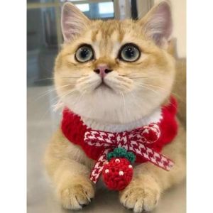 Mèo khăn quàng cho dịp giáng sinh nơ cổ cho chó mèo BIB dệt kim Yếm trẻ em Pet Đầm năm mới lên