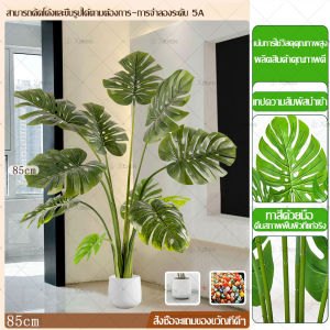 【แถมฟรีหิน กระถาง】ต้นไม้ปลอม-ประดิษฐ์ ต้นไม้ปลอมใหญ่ สูง สูง110ซม24ใบไม้ สไตล์นอร์ดิก ในบ้าน ความจำลอง 99% ตั้งบริเวณบ้าน ข้างโซฟา ต้นไม้มงคล ต้นไม้แต่งบ้าน ต้นไม้ประดิษฐ์ ต้นไม้มงคลปลอม ต้นไม้ปลอมสวยๆ ต้นไม้ตกแต่งบ้าน ต้นไม้มงคล ต้นไม้ปลอมแต่งห้อง