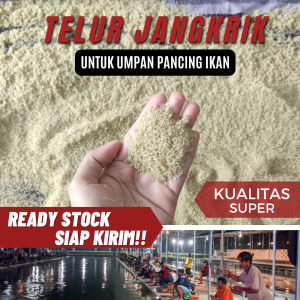 Telur jangkrik alam untuk umpan pancing ikan pengganti kroto harga murah kualitas super usia muda lebihg fresh ready stock siap kirim
