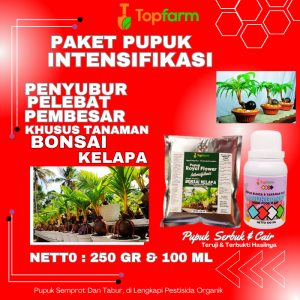Pupuk Khusus Bonsai Kelapa / Pupuk Untuk Bonsai Kelapa / Pupuk Bonsai Kelapa / Pupuk Penyubur Bonsai Kelapa / Pupuk Bonsai