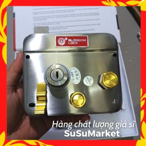Khoá cổng BLOSSOM YN-V88DG | Full vật liệu Inox và Đồng thau | Sang trọng và an toàn |