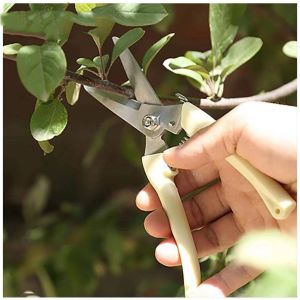 Plant Scissors Garden Stainless Steel Scissors Branch Fruit Pruning Stainless Steel Garden Scissors