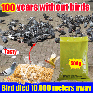 Bird died 10000 meters away bird repellent outdoor racun burung merpati 500g 10 years without birds ubat bird paling berkesan 100% kill birds pigeons crows sparrow Birds favorite racun bird pigeons repellent Penghalau burung merpati 鸟药 防鸟神器 赶鸟神器