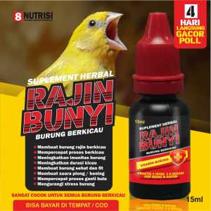 RAJIN BUNYI VITAMIN PENGACOR KENARI