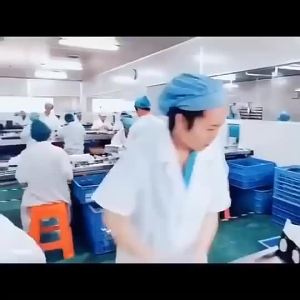 力克宁溢脂性头皮炎膏头部痘痘瘙痒头皮癣修护止痒膏厂家批发