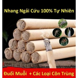 Nhang Ngải Cứu 1 Hộp 10 Thanh Kèm Đế Gỗ | Nhang Đuổi Muỗi Tự Nhiên Nhang Xông Phòng Cháy Lâu Ít Khói Thơm Dịu