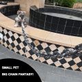 6 Ft Funny Dog Leash - Giant Plastic Chain Leash with Puppy Collar for Small Dogs, Cats, and Puppies - Black Funny Chain Dog Leash. 
