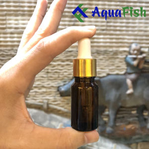 [HOÀN TIỀN 10%]Chế phẩm cho cá Koi cá rồng giúp vận chuyển cá đi xa chụp ảnh làm ngất cá lọ 10ml