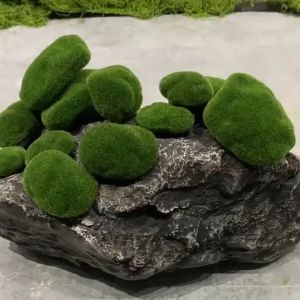10Pcs Simulation Moss Covered Stones Artificial Moss Rocks for Terrarium Micro Landscape Fairy Garden DIY Decor Ornament