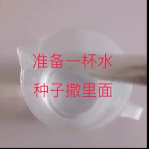 96pcs Hydroponic Sponge Garden Vegetable Soilless Planting Tool Seedling Germination Grow Sponge for Greenhouse Nursery