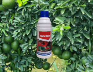 Dung dịch hỗ trợ bảo vệ cây trồng GrandGold 80SC – Giúp cây khỏe mạnh lá xanh rễ vững