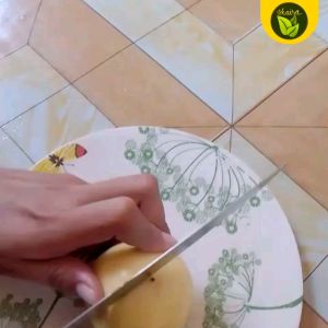 passion fruit 5 seeds for planting binhi pantanim