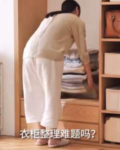 Wardrobe Clothes Stackable Storage Layered Partition Drawer Storage Box Rack Drawer Rack