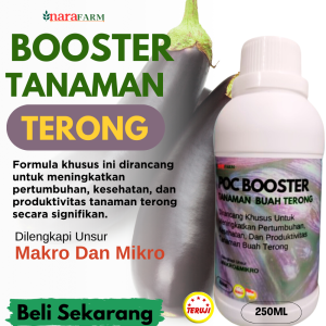 Pupuk pelebat buah terong unguPupuk buah terong berbuah lebatPupuk untuk tanaman terong