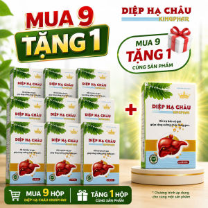🌿 DIỆP HẠ CHÂU PLUS KINGPHAR – CHỦ ĐỘNG XÂY DỰNG THÓI QUEN CHĂM SÓC CƠ THỂ MỖI NGÀY