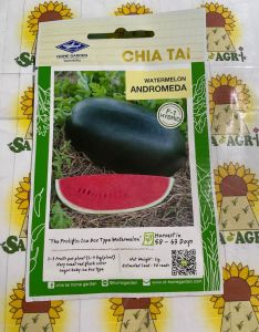 Andromeda Watermelon Seeds (2g) by Chia Tai