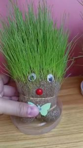 Growing Grass Head Doll Office Table Plant Decor Children Growing Grass Doll Toys