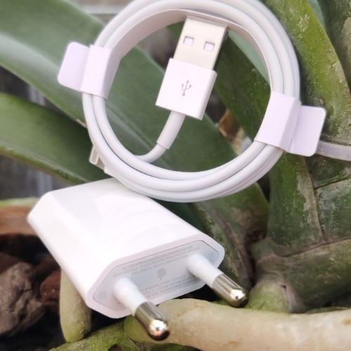 C%C3%A1p%20s%E1%BA%A1c%20nhanh%20iphone%20YASUI%20ch%C3%ADnh%20h%C3%A3ng%20foxconn%208ic%20c%E1%BB%95ng%20usb%20%C4%91%E1%BA%A7u%20c%C3%A1p%20lightning%20m%E1%BA%ABu%20d%C3%A2y%20s%E1%BA%A1c%20nhanh%20iphone%207/7plus/8/8plus/x/xr/xs%20max%2011/12/13/pro%20max%20b%E1%BA%A3o%20h%C3%A0nh%201%20n%C4%83m%20-%20Image%206