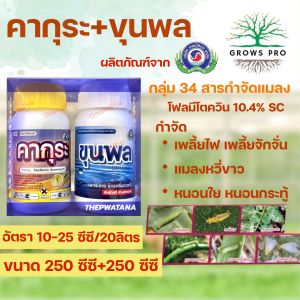 GrowsPro คากุระ+ขุนพล 250cc. ใหม่สารกลุ่ม34 โฟลมีโตควิน กำจัดเพลี้ยไฟ เพลี้ยจักจั่น หนอน